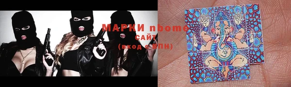 гидра Елизово