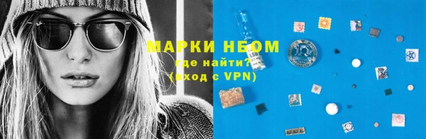гидра Елизово