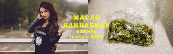 гидра Елизово