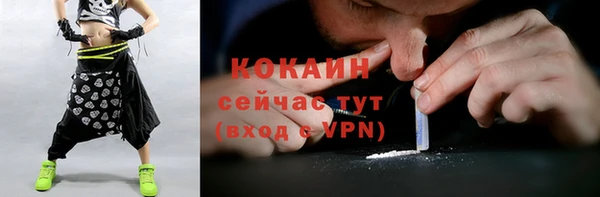 гидра Елизово