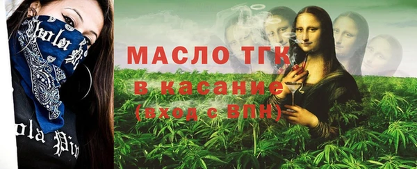 гидра Елизово