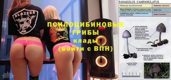 прущая мука Елабуга