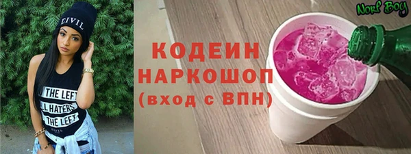 гидра Елизово