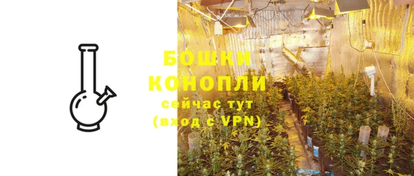 гидра Елизово